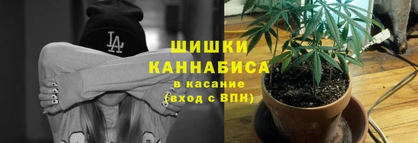 ГАЛЛЮЦИНОГЕННЫЕ ГРИБЫ Баксан