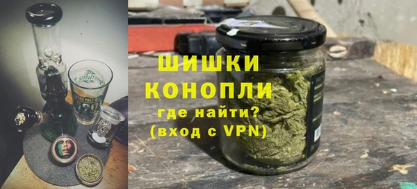 ГАЛЛЮЦИНОГЕННЫЕ ГРИБЫ Баксан