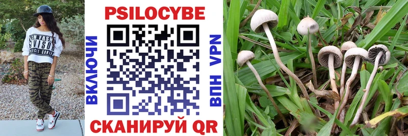 цены наркотик  это официальный сайт  Галлюциногенные грибы Cubensis  Лосино-Петровский 